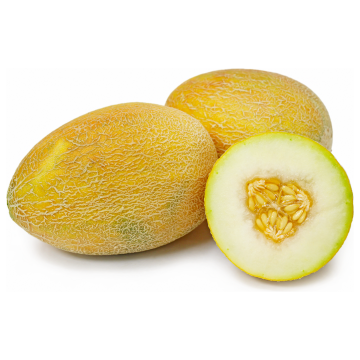 Ananas Tip Kavun Fidesi
