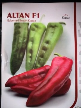 Altan F1 Kapya Biber Fidesi