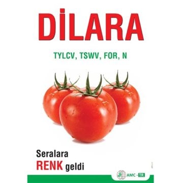Dilara F1 Domates Fidesi