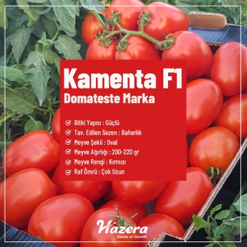 Kamenta F1 Salçalık Domates Tohumu