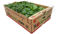 Hobi Fide Seti Maxi (200 Adet)