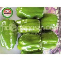 Sezar F1 Dolma Biber Fidesi