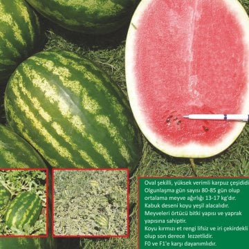 Avira F1 Karpuz Tohumu 1.000 Adet