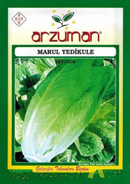 Yedikule  Marul Tohumu