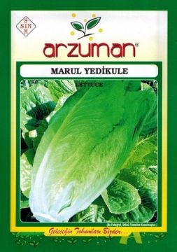 Yedikule  Marul Tohumu