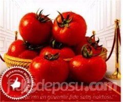 Bestona F1 Domates Fidesi