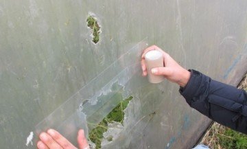 Sera Tamir Bandı 15 Cm X 25 Metre