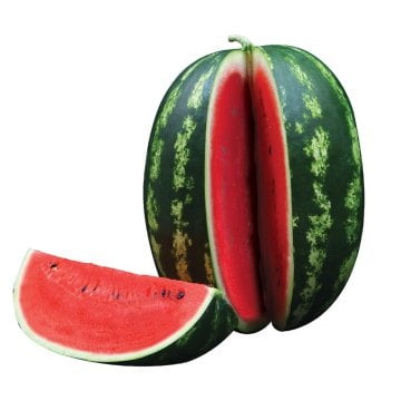 Starbust F1 Karpuz Fidesi