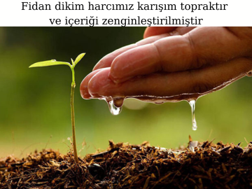 Fidan Dikim Harcı 40 lt.
