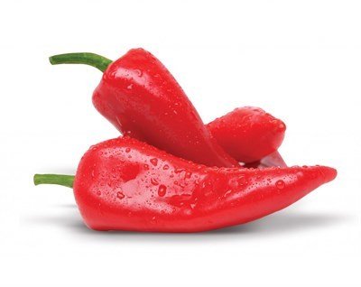 Doruk F1 Kapya Biber Fidesi