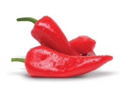 Doruk F1 Kapya Biber Fidesi