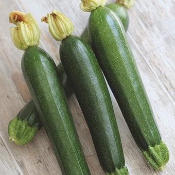 Elida F1 Siyah Kabak Tohumu 100 Gram