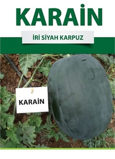Karain F1 Karpuz Fidesi
