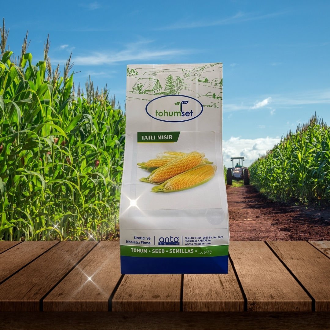 Calipos F1 Tatlı Süt Mısır Tohumu 500 Gr