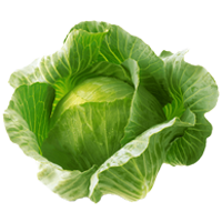 Beyaz Lahana Fidesi 6 Adet