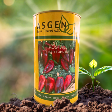 Postal Fil Kulağı Kapya Biber Tohumu 500 gr