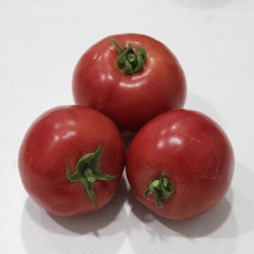 Gubse F1 Oturak Pembe Domates Tohumu 1000 Adet