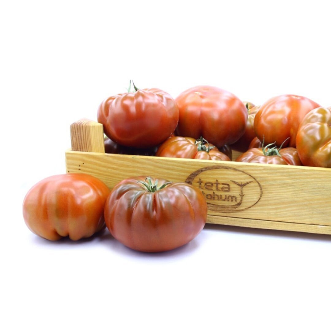 Esengül F1 Kahverengi Köy Domates Tohumu 1000 Adet