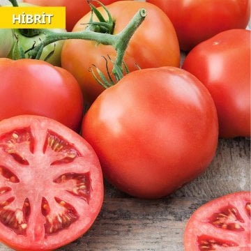 Hibrit Oturak Domates Tohumu 30 Adet