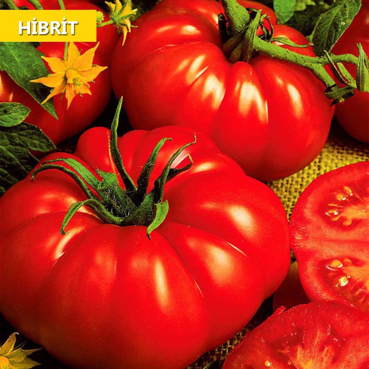 Hibrit Kırmızı Köy Domatesi Tohumu 30 Adet