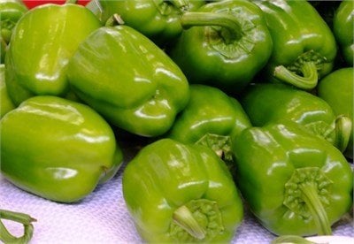 Aybala F1 Dolma Biber Fidesi
