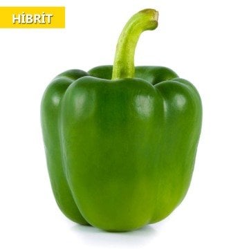 Hibrit Dolma Biber Tohumu 25 Adet