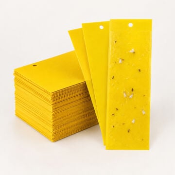 Yapışkan Sarı Kart Tuzak 10x25 cm 10 Adet