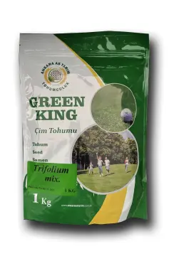 Ak Üçgül Trifolium Repens Yonca Çim Tohumu 1 KG