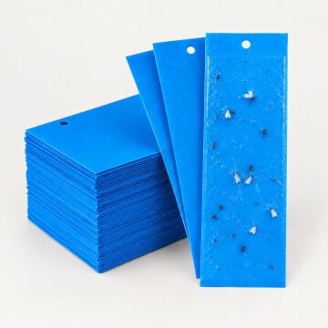 Yapışkan Mavi Kart Tuzak 10x25 cm 10 Adet