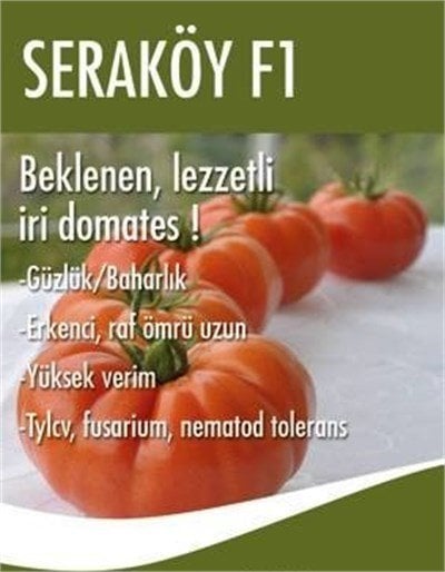 Seraköy F1 Domates Fidesi