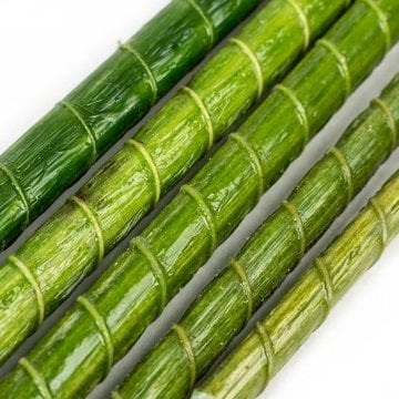 Bar-Plant Fide Fidan Bitki Destek Çubuğu 10 Adet