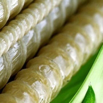 Bar-Plant Fide Fidan Bitki Destek Çubuğu 10 Adet