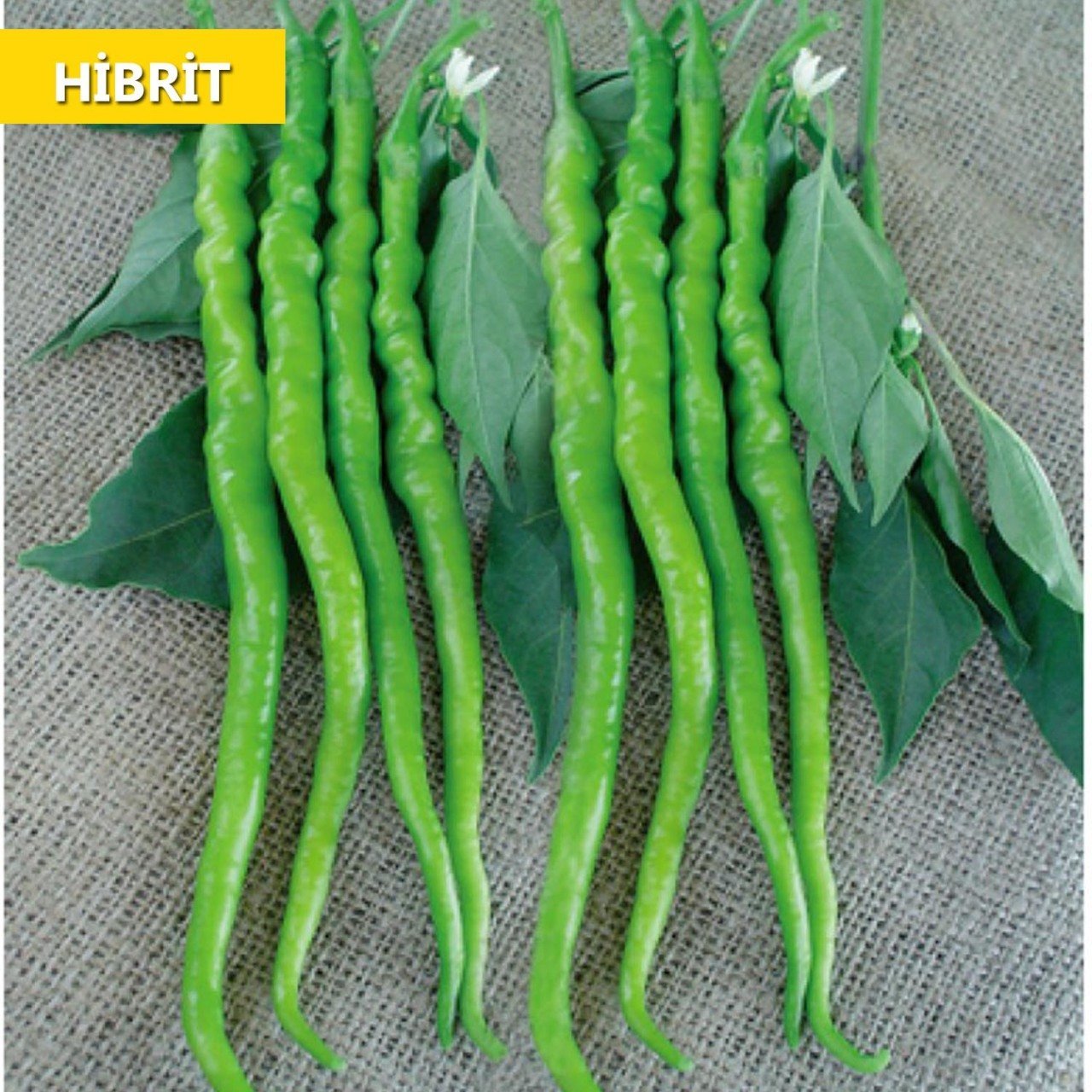 Hibrit Tatlı Kıl Sivri Biber Tohumu 25 Adet