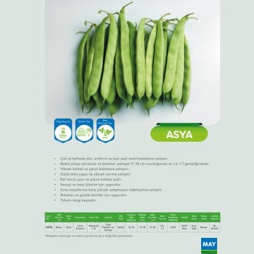 Asya Bodur Oturak Fasulye Tohumu 2 Kg