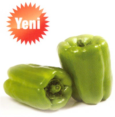 LT34 F1 Dolma Biber Fidesi