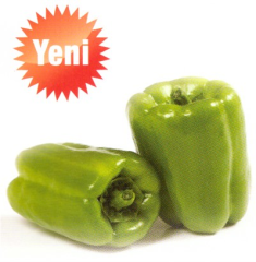 LT34 F1 Dolma Biber Fidesi