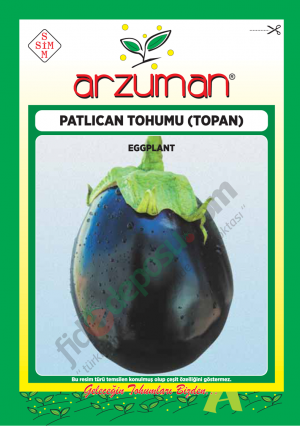 Topan Patlıcan Tohumu