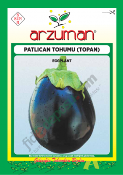 Topan Patlıcan Tohumu