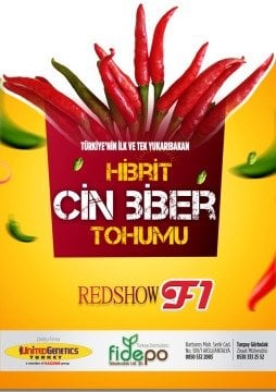 Red Show F1 Yukarıbakan Cin Biber Tohumu 1.000 Adet