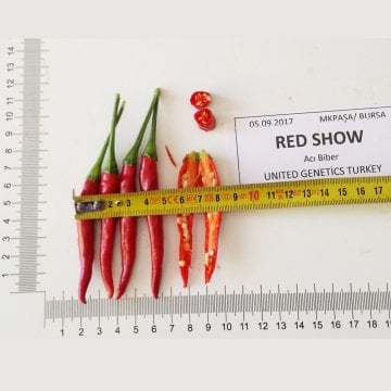 Red Show F1 Yukarıbakan Cin Biber Tohumu 1.000 Adet