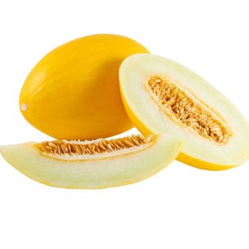 Namlı F1 Sarı Kavun Tohumu