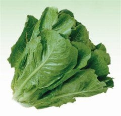 Paris İsland Yedikule Marul Tohumu