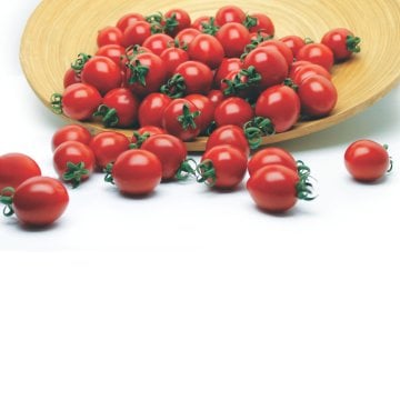 Axion F1 Kokteyl Domates Fidesi