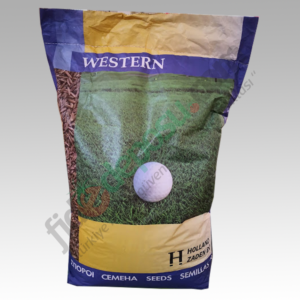 3 Lü Karışım Kaliteli İthal Western Çim Tohumu 10 Kg