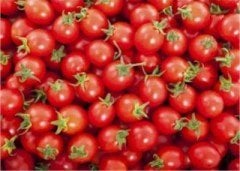 İnci F1 Cherry Domates Fidesi