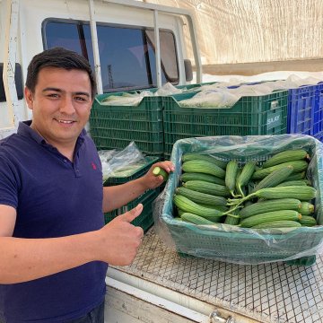 Karaefe F1 Acur Fidesi Koli Seç (128 adet )