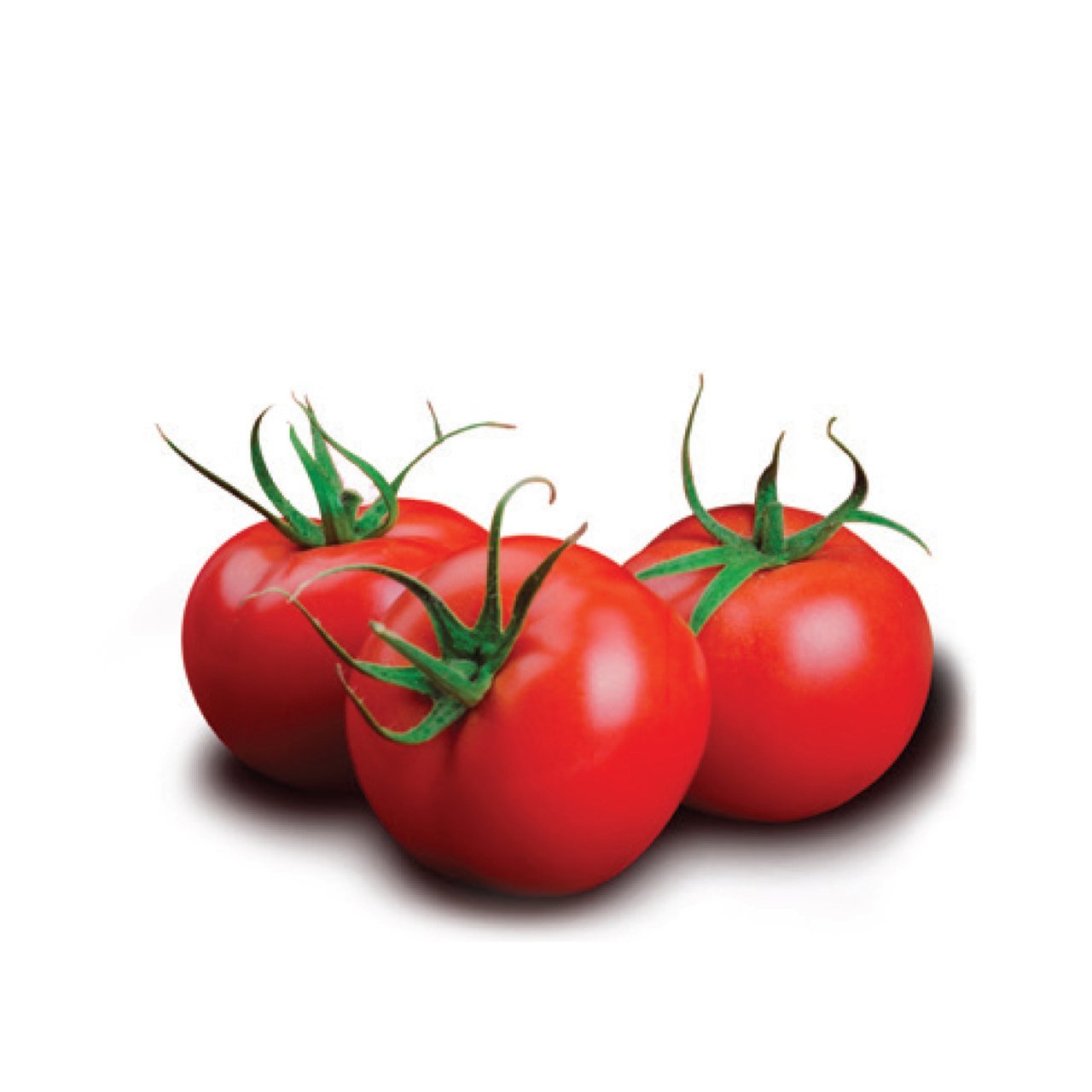 Mira F1 Domates Tohumu 1000 Adet