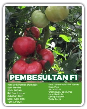 Pembesultan F1 Pembe Domates Tohumu