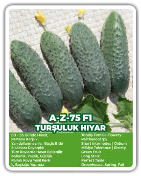 AZ 75 F1 Turşuluk Kornişon Hıyar Tohumu 2500 Adet