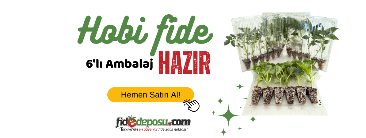 Hobi Fide Hazır